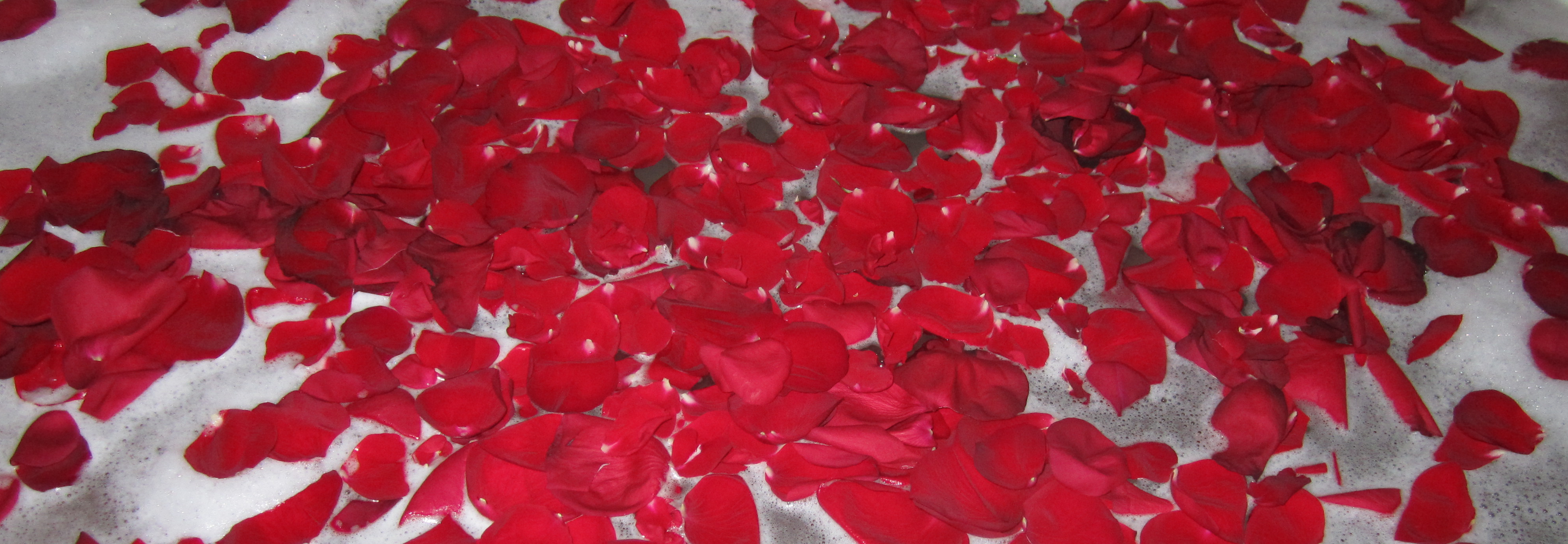 Rose Petal Bath